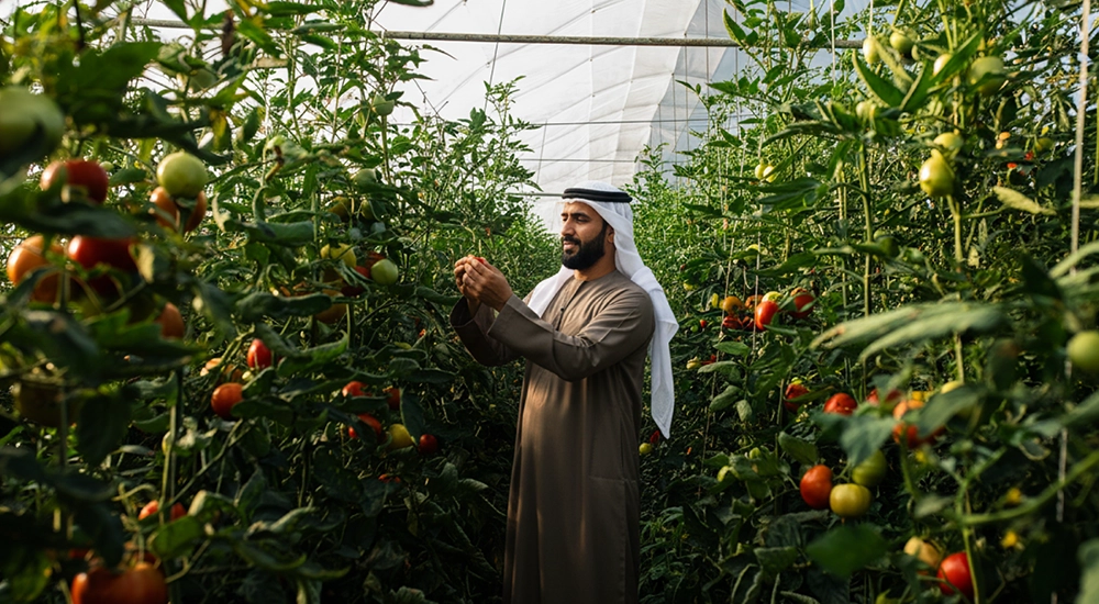 29- growth of agri licences in Abu Dhabi